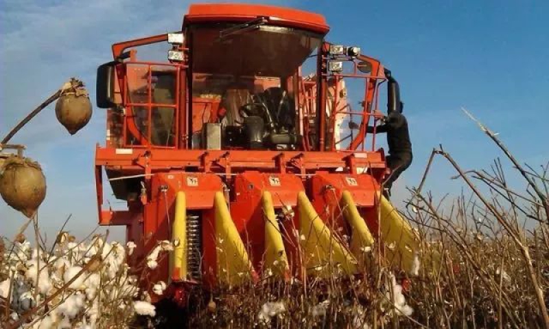 口袋德州官网-口袋德州APP下载