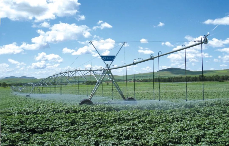 口袋德州官网-口袋德州APP下载