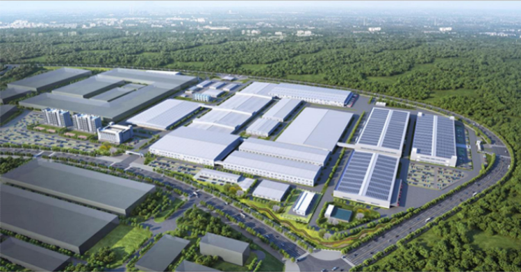 口袋德州官网-口袋德州APP下载