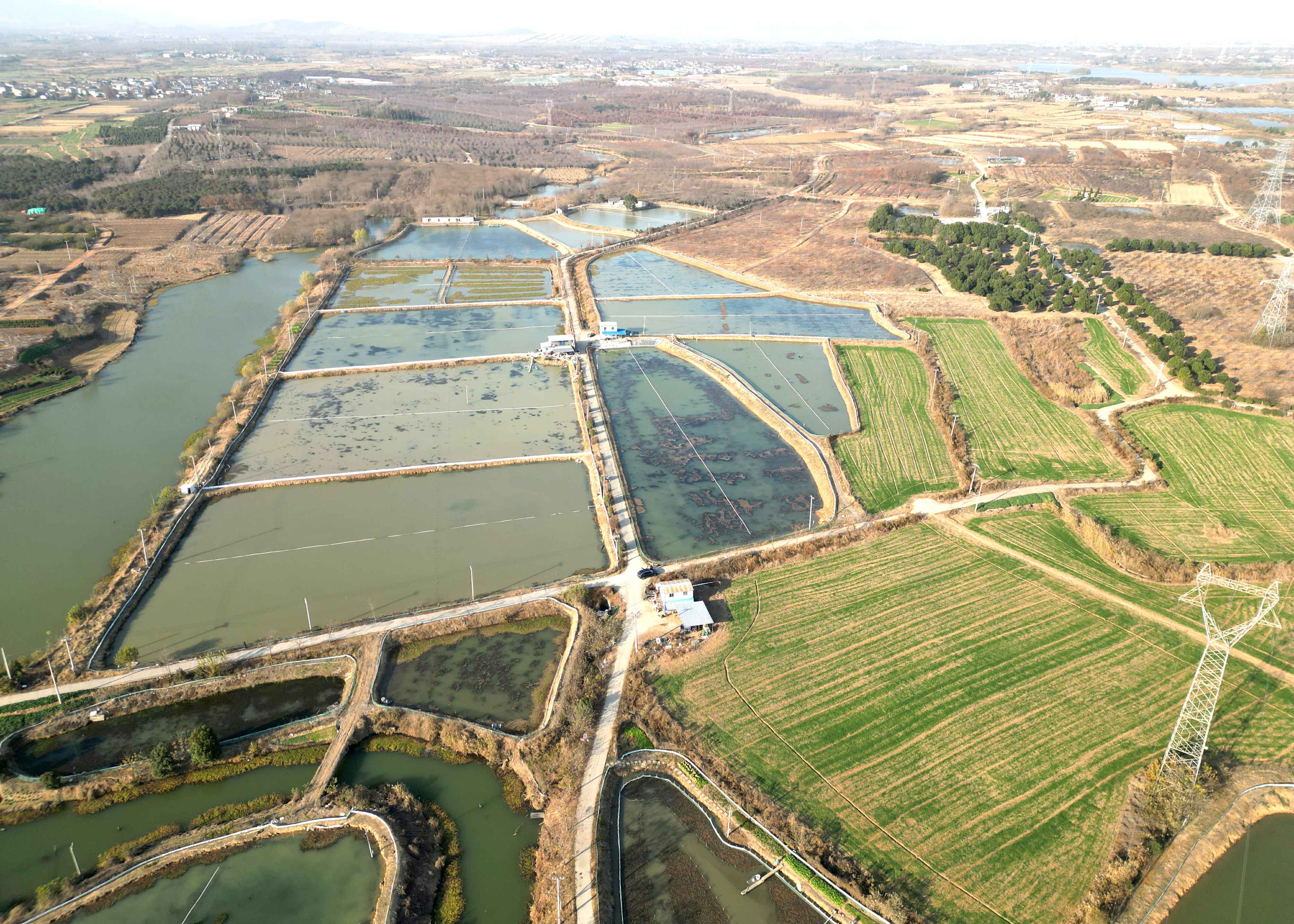 口袋德州官网-口袋德州APP下载