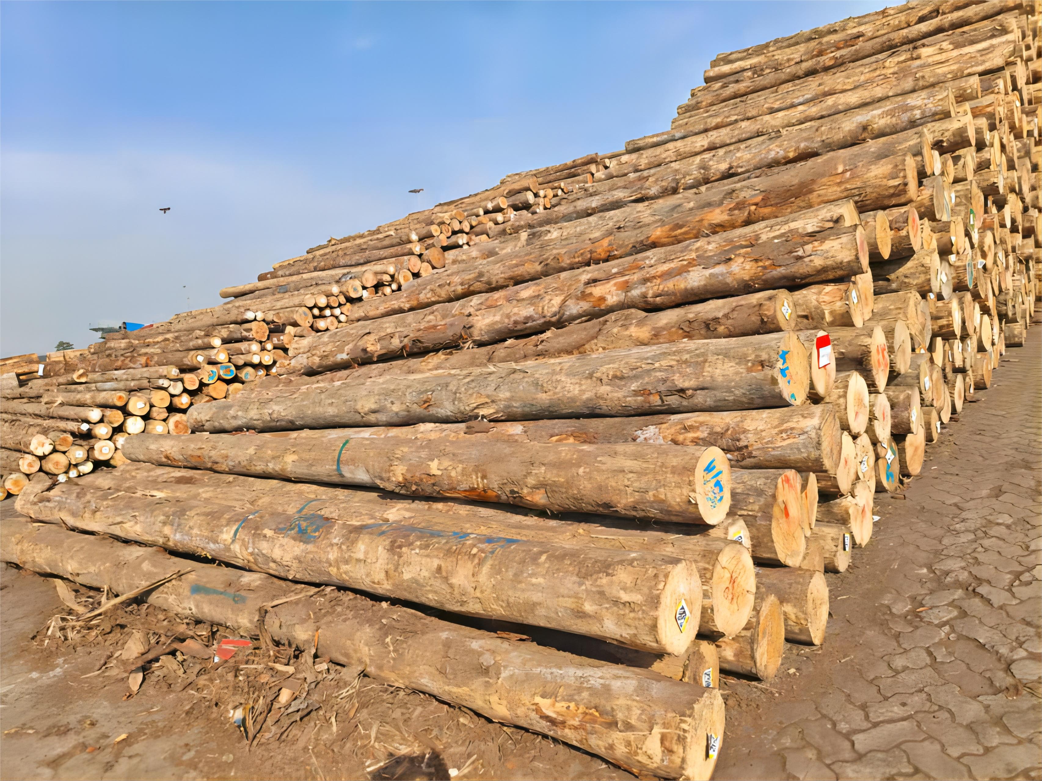 口袋德州官网-口袋德州APP下载