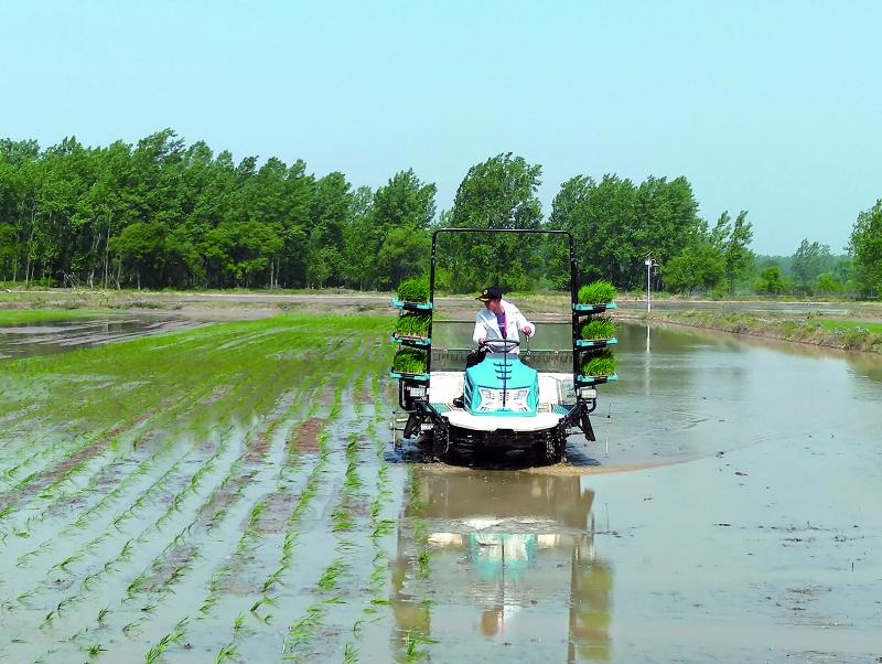 口袋德州官网-口袋德州APP下载